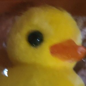 Meet your Posher, Suleiry